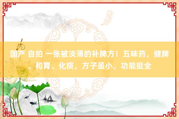 国产 自拍 一张被淡薄的补脾方！五味药，健脾、和胃、化痰，方子虽小，功能挺全