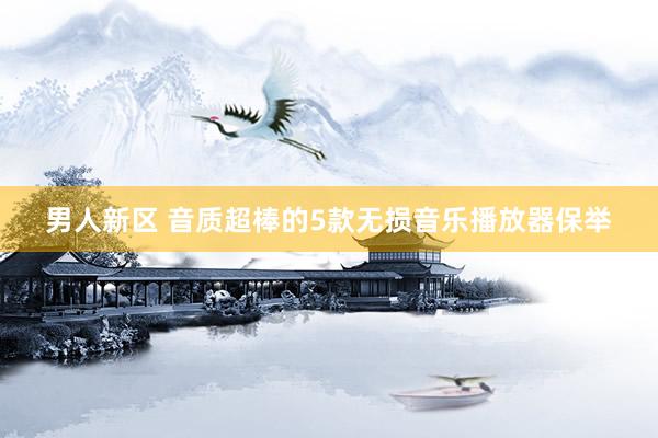 男人新区 音质超棒的5款无损音乐播放器保举