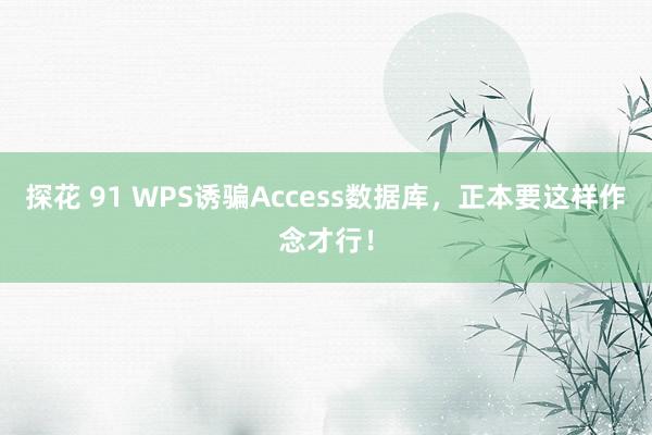 探花 91 WPS诱骗Access数据库，正本要这样作念才行！