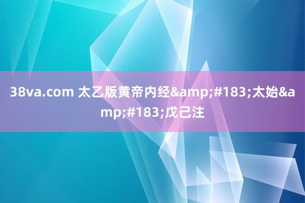 38va.com 太乙版黄帝内经&#183;太始&#183;戊己注