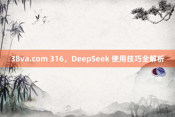 38va.com 316，DeepSeek 使用技巧全解析