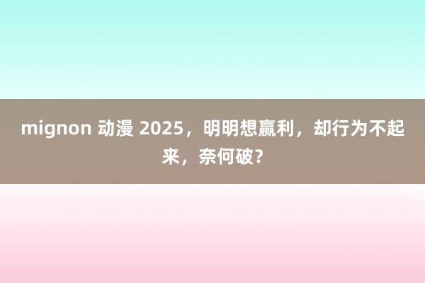 mignon 动漫 2025，明明想赢利，却行为不起来，奈何破？