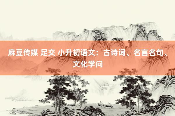 麻豆传媒 足交 小升初语文：古诗词、名言名句、文化学问